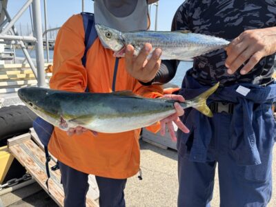 <p>森鴎外&李鴎外 様　沖の北　ショアジギでサゴシ🎣アジ飲ませでメジロGET✨</p>