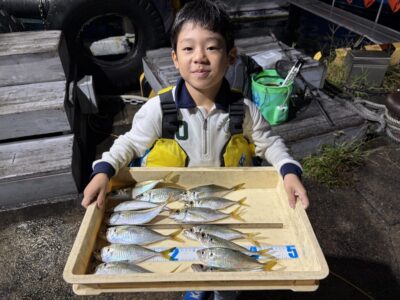 <p>ひなた君　旧一文字赤灯　サビキ釣り　アジ23cmまで🎣15時〜17時までの釣果♪♪</p>