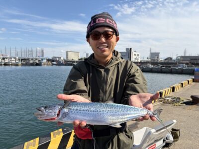 <p>イシシ様　沖の北　ショアジギ　サゴシ🎣</p>