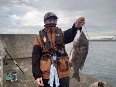 <p>あきら49%様　旧一文字赤灯内向き　飲ませ釣りでチヌ49cm！</p>