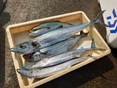 <p>山本様　沖の北　ショアジギでハマチ＆サゴシ＆サワラ73cm！！！</p>