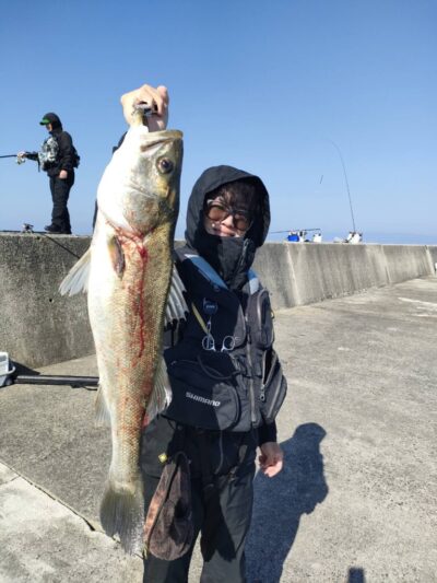 <p>KATO FISHING CLUB 様　沖の北　飲ませ釣りでスズキ78cm！！！</p>