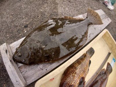 <p>山内🍣様　沖の北内向き　胴突飲ませでヒラメ60cm！</p>