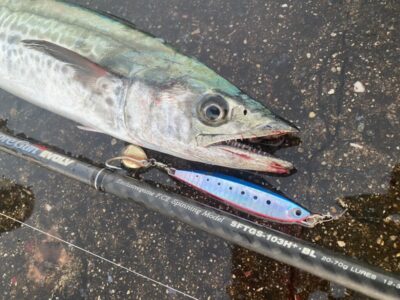 <p>パームス吉田様　沖の北　パームス・ヘキサーBでサゴシ！</p>