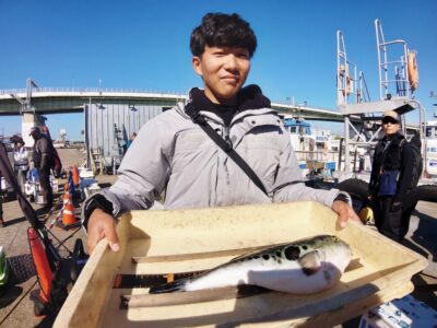 <p>沖の北　トラフグ釣れてました♪もちろん捌くのは免許持ちの方にやってもらうそうです。</p>