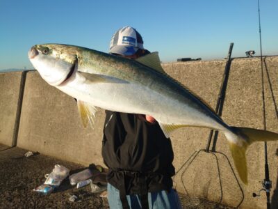 <p>タツタマン様　沖の北　飲ませ釣りのメジロ！7時40分にヒット！</p>