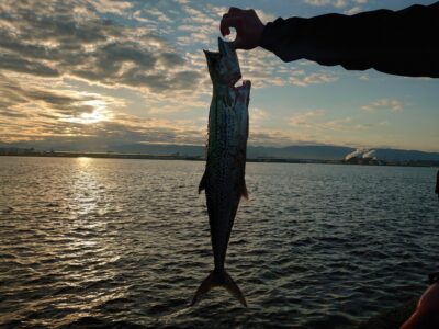 <p>旧一文字赤灯　船着の内向き　ショアジギでサワラ！！！</p>