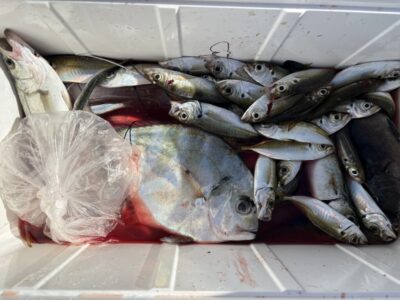 <p>コウスケ&ユースケくん　旧一文字赤灯　サビキ釣りでアジ🎣　エビ撒き釣りでイトヒキアジ&セイゴ🎣</p>