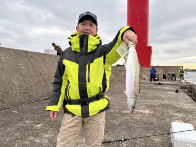 <p>2071の谷口様　旧一文字赤灯　マキマキ岸一ピンクでまさか❗️のサゴシ🎣</p>