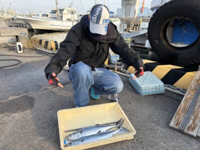 <p>🩷タツタマン🩷様　沖の北　ショアジギ　サゴシ🎣</p>