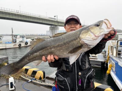 <p>川原様　旧一文字赤灯　エビ撒き　スズキ69.5cm🎣</p>
