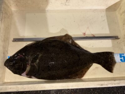 <p>永田様　沖の北　アジ飲ませ　ヒラメ46cm🎣13時半ごろにヒット♪♪</p>