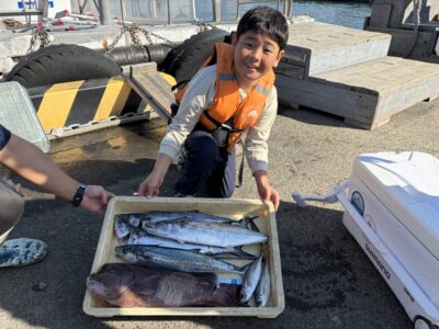 <p>こうた君　沖の北　ショアジギでサゴシ🎣サビキでは小アジ多数と中アジも♪♪カンダイは頂いたそうです♪♪</p>