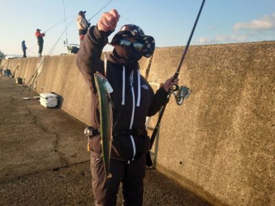 <p>ルイ様　沖の北　ショアジギでサゴシ！7時40分にヒット！この後もう1つ追加♪</p><p>まだちょっといるようです。</p>