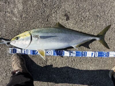<p>⑨中村様　沖の北外向き　飲ませ釣りでブリ！11時半頃にヒット！</p>