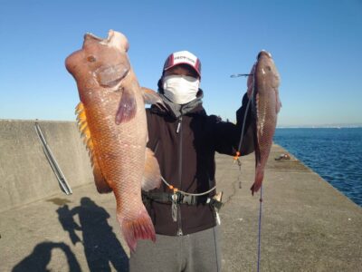 <p>カンダイハンター　ハルヒサSP様　沖の北内向き　かぶせ釣りでカンダイ70cm！！！</p>