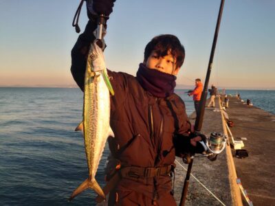 <p>久保様　沖の北　ピンテールでサゴシ！7時すぎにヒット！</p>