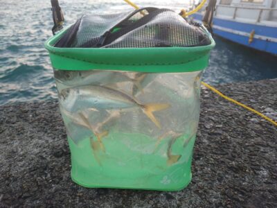 <p>沖の北　暗い時間は先端内向きだけポツポツ、明るくなってからはオイルフェンスよりでも釣れてました。まだ現地調達可能です♪</p>