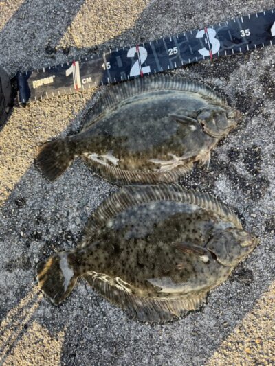 <p>マックススタッフ岸口さん　沖の北　投げ釣りでカレイ！7時と8時頃にヒット！</p>