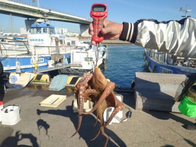 <p>真心様　沖の北　🐙良型タコ1.1kg🐙</p>