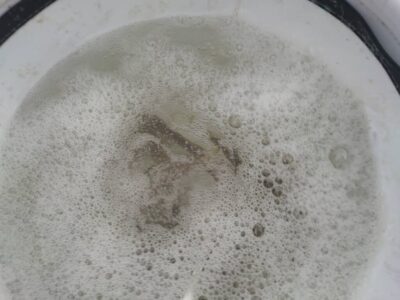 <p>沖の北　足元サビキで小アジ！先端内向きだけ安定して釣れていました。</p>