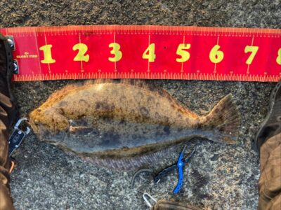 <p>神倉様　沖の北内向き　胴突飲ませで良型ヒラメ！7時半頃にヒット！</p>