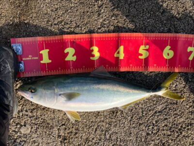 <p>神倉様　沖の北　飲ませ釣りでメジロ！9時頃にヒット！</p>