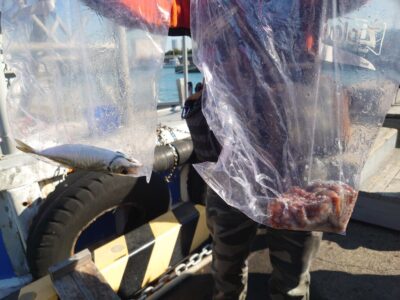 <p>⑨中村様　沖の北　足元サビキでアジ25cm！タコ釣りもやって4ヒット1キャッチ♪</p>