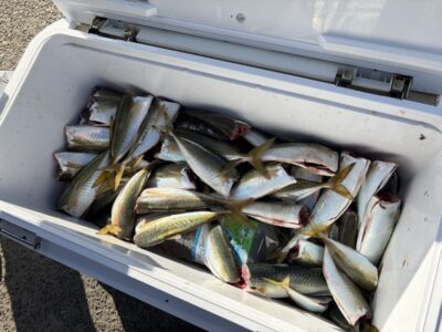 <p>旧一文字赤灯　サビキ釣り　中アジ多数🎣1番船で渡ってすぐ釣れ出し潮止まりまで釣れ続いたそうです♪♪</p>