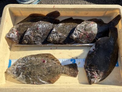 <p>垣見様　沖の北　投げ釣り　カレイ32cmまで6枚🎣6時半〜7時頃に時合があったとの事でした♪♪</p>