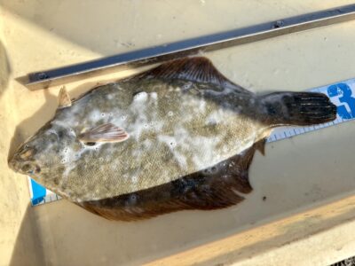 <p>ミラクル宮崎様　沖の北　カレイ🎣</p>