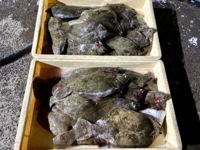 <p>🚴垣見様🚴‍♀️  沖の北　カレイ35尾🎣　最大40cm    🐟釣り場所移動しながらの釣果だそうです🐟</p>