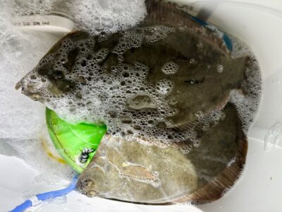 <p>大宅様　沖の北　カレイ3尾🎣</p>