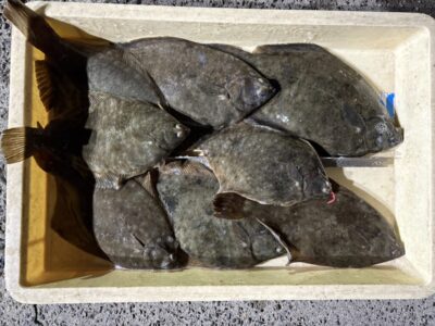 <p>ソロアングラー様　沖の北　カレイ8尾🎣</p>