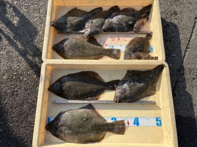 <p>中屋敷様　沖の北　投げ釣り　カレイ35cmまで8枚🎣</p>