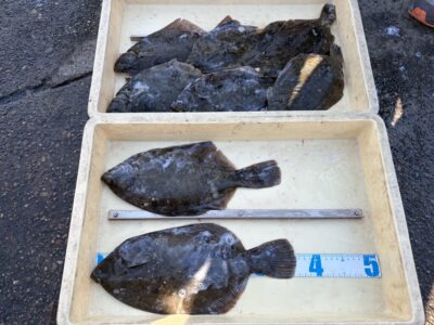 <p>白木様　沖の北　投げ釣り　カレイ36.5cmまで8枚🎣</p>