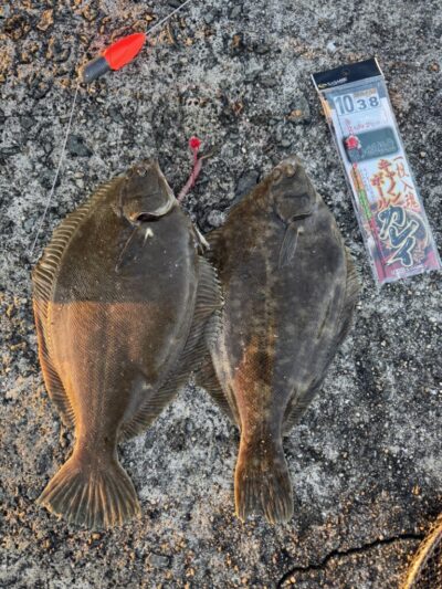 <p>マックス・ルアー担当の岸口さん　沖の北　投げ釣りで良型カレイ！</p>