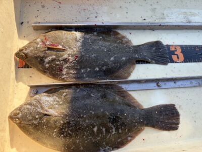 <p>金沢様　沖の北　投げ釣り　カレイ28cmまで2枚🎣</p>