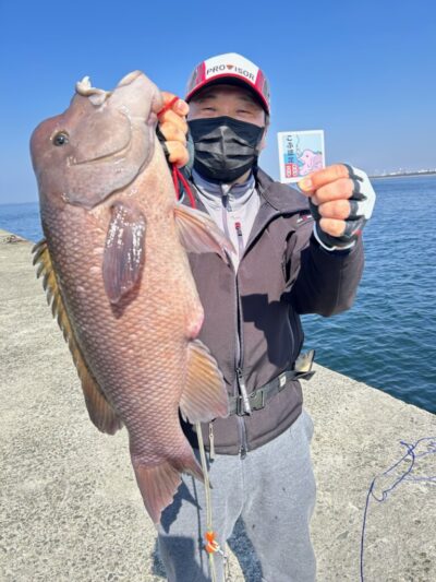 <p>ハルヒサSP様　沖の北　カブセ釣りでコブダイ🎣撮影後リリース🐟</p><p>コブダイ50cm UP釣った方にハルヒサSP様オリジナル”コブダイ”ステッカー 差し上げております🐟　※撮影=F様※</p><p>&nbsp;</p>