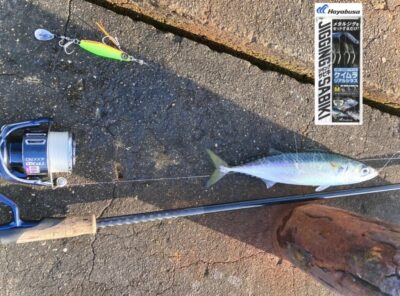 <p>釣れない猫様　沖の北　ジグサビキ(ケイムラリアルシラス)   サバ25〜27cmまで4匹🎣　朝イチベイトの反応はありでしたが表層では掛からずボトム着底間際でのヒットとの事でした♪♪</p>