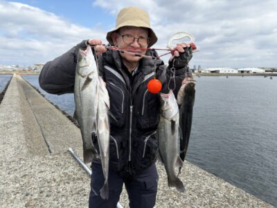 <p>山本様　中波止3番　エビ撒き🦐　ハネ44.5cmまでを4匹GET🎣8時半〜9時半の釣果✨タナは3ヒロ弱</p>