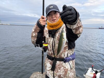 <p>ひまわり様🌻　中波止3番　エビ撒き　サバ🎣</p>