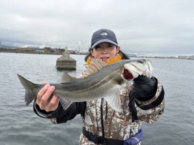 <p>ひまわり様🌻　中波止3番　エビ撒き　ハネ47.5cm🎣初ハネおめでとうございます㊗️</p>