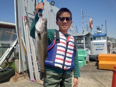 <p>りんと君　旧一文字赤灯　先端内向き　エビ撒き釣りでハネ！りんと君が1人で釣りました♪</p>