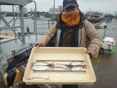 <p>今日はおんぶに抱っこで大名釣りのひまわり🌻様　沖の北オイルフェンス内向き　足元サビキで小〜中アジ！サバはいなかったようです。</p>