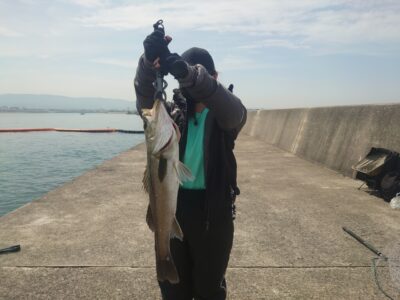 <p>大上様　沖の北外向き　飲ませ釣りでハネ！飲ませのアジは買ってきたものです。</p>