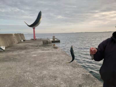 <p>沖の北　先端内向き　飛ばしサビキで中サバ！群れがきたらパラっと釣れる感じです。</p>