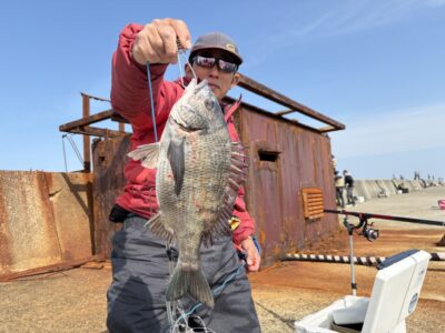 <p>ミラクル宮崎様　沖の北　エビ撒き　9時頃にチヌGET🎣</p>
