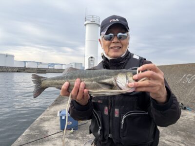 <p>本石様　旧一文字白灯　先端内向き　エビ撒き釣りでハネ！タナは2ヒロ半</p>