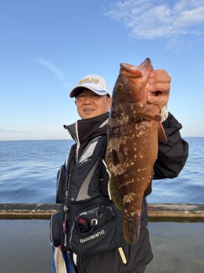 <p>川原様　沖の北　エビ撒き　6時過ぎにアコウ✨40cmオーバーの良型です🎣追加、アコウ44cmありました！！おめでとうございます㊗️</p>